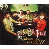 Reel Big Fish - Where Have You Been (Single)