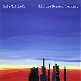 Edie Brickell - Picture Perfect Morning