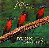 Reflections of Nature - Symphony of Songbirds