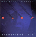Marshall Whyler - BLOW - Didgeridoo Mix