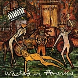 Love Hate - Wasted In America