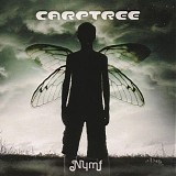 Carptree - Nymf