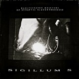 Sigillum S - Hallucinated Moisture Of Synaptic Slaughterhouse