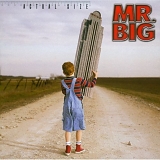 Mr. Big - Actual Size