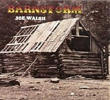 Joe Walsh - Barnstorm