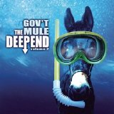Gov't Mule - The Deep End volume 2