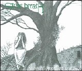 Stone Breath - Songs of Moonlight and Rain