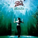 Pooh - Ascolta