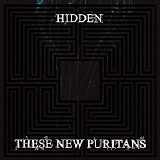 These New Puritans - Hidden