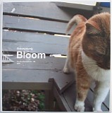 Braveyoung - Bloom