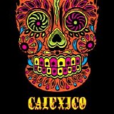 Calexico - Live in Nuremberg