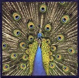 The Bluetones - Expecting To Fly