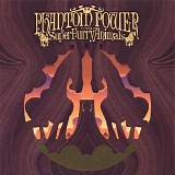 Super Furry Animals - Phantom Power