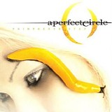 A Perfect Circle - Thirteenth Step