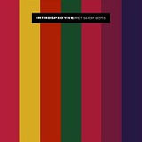 Pet Shop Boys - Introspective