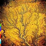 Various artists - Passion Sources