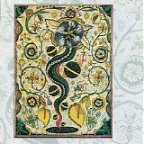 Steve Earle - I Feel Alright