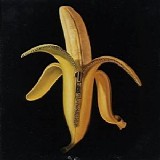 The Dandy Warhols - Welcome to the Monkey House