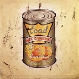 Toad the Wet Sprocket - In Light Syrup