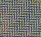 Animal Collective - Merriweather Post Pavilion