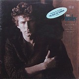 Don Henley - Building The Perfect Beast