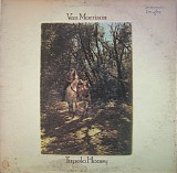 Van Morrison - Tupelo Honey