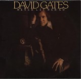 David Gates - Never Let Her Go
