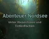 Kolja Erdmann - Expeditionen Ins Tierreich: Abenteuer Nordsee