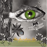 Sunshine Fix - Green Imagination (Bonus Dvd)