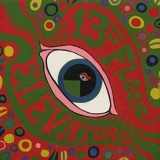 The 13th Floor Elevators - The Psychedelic Sounds of the 13th Floor Elevators [Vinyl]