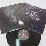 Cocteau Twins - The Pink Opaque