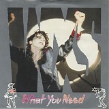 INXS - What You Need