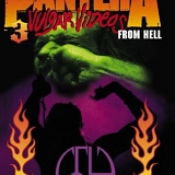 Pantera - 3 Vulgar Videos from Hell