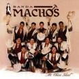 Banda Machos - MI CHICA IDEAL...ARRE MACHOS!