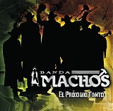 Banda Machos - Proximo Tonto