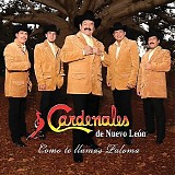 Los Cardenales de Nuevo Leon - amor de una horas