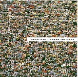 Beanfield - Human Patterns
