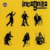 Incognito - Positivity 1993 (Acid Jazz) TQMP [FLAC]