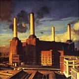 Pink Floyd - Animals