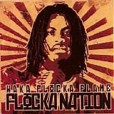 Waka Flocka Flame - Flocka Nation