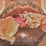 Toro Y Moi - Underneath the pine
