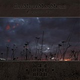 Various artists - BadMoodMan Music Compilation 2010