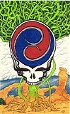 The Grateful Dead - 5/13/77 Auditorium Theater Chicago, IL Set 1 end Set 2 (inc)