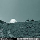 Band of Mad Women - Rodopted