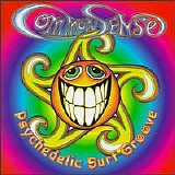 Common Sense - Psychedelic Surf Groove