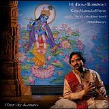 Majumdar-Bansuri, Ronu (Ronu Majumdar-Bansuri); Ry Cooder; Jon Hassell; Abhijit  - Hollow Bamboo