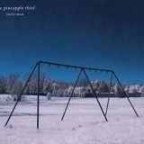 The Pineapple Thief - Little Man