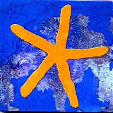 Fish - 13th Star