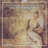 Graun - Trios for 2 Violins & Basso - Les Amis de Philippe