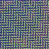 Animal Collective - Merriweather Post Pavilion